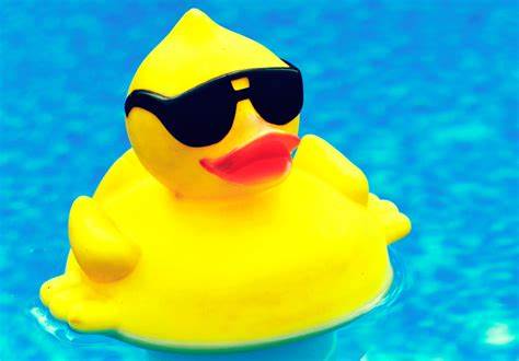 duck